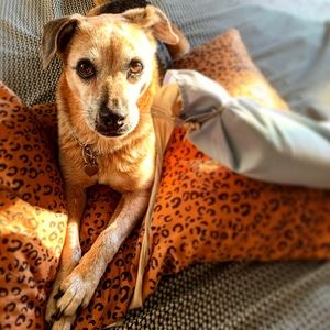 Meet your Posher, Jonny